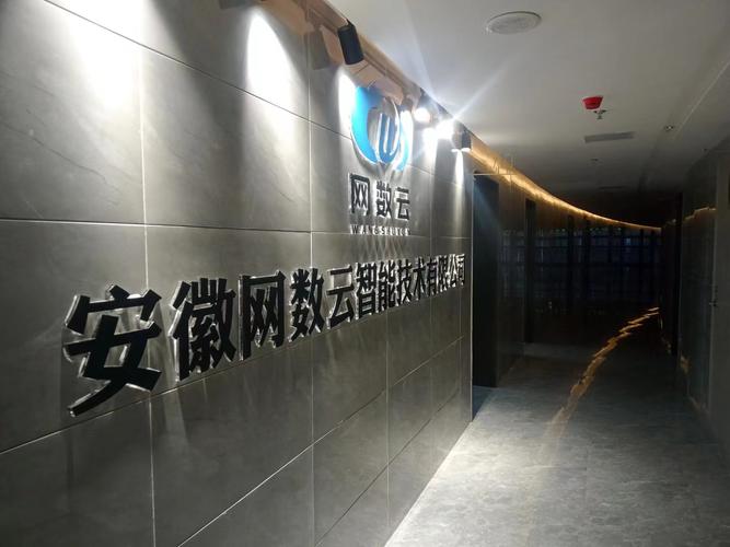 安徽網(wǎng)數(shù)云智能技術(shù)